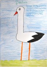 Boldiová Sandra.jpg